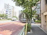 車通りの多い公道