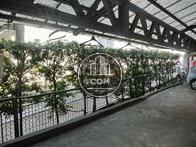 この植栽の後ろは運河が流れています