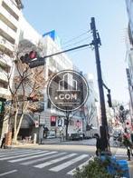 緩やかな傾斜面沿い