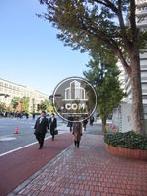 敷地内はレンガが敷かれています