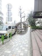 先に首都高速が見えます