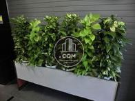 植物があるのは嬉しいですね