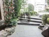 椿等和を感じさせる植栽を配置