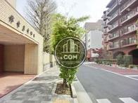 街路樹のある歩道