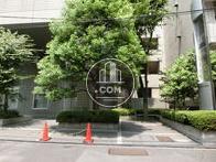 植栽が多数植てあります