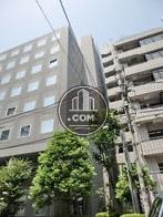 側面には窓が多数設置されています
