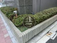 植栽