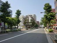 緑が多いエリアです