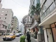 街路樹が植えられています