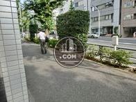木々が多く歩道も綺麗に整備されています