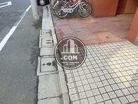 玄関口の床面です