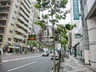 交通量が多いです
