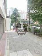街路樹のある通り