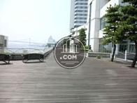 海岸を見渡せるデッキエリア