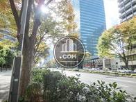 街路樹の多い通り
