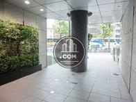 壁面に植栽を配置しています