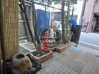 緑が植えられていますね