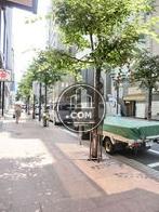 街路樹のある通り