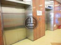 容量が大きめのエレベーターが2基並んでいます