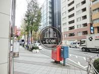 街路樹の点在する歩道エリア