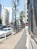 街路樹のある通り
