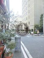 玄関前の落ち着いた雰囲気を感じられる公道