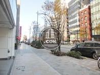 街路樹の点在する歩道