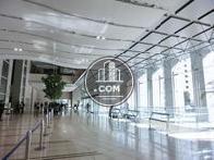 日射しが沢山入ります