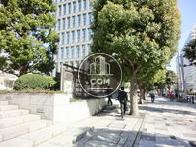 街路樹が立ち並びます