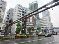 青山通りを挟んだ反対側歩道より撮影