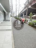 街路樹のある通り
