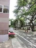 通り沿いに立っている桜がシンボルツリー代わりです