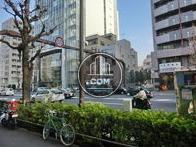 駒沢通りには、歩道に多くの植栽があります