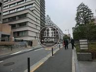 人も車もそれほど通りは多くなく静かな周辺環境にあります