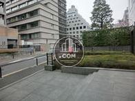前面の余裕の敷地には植栽が一杯です