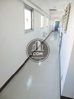 綺麗に整備されています