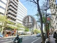 街路樹の立ち並ぶ通り
