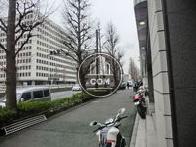 坂を登ると六本木方面です