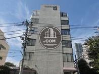採光は抜群です