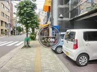 街路樹が並んでいます