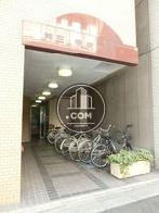 玄関回りの造り