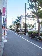 街路樹の立ち並ぶ歩道沿い