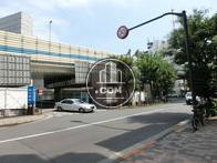 首都高速を挟んで反対側には国立劇場があります