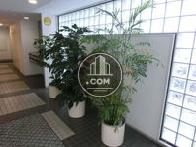 エントランスにある植栽です