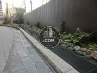 裏手は日本庭園のような雰囲気です