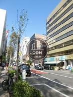 緑のある通り