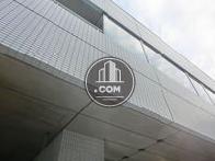 見上げた様子です