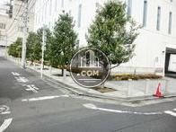 物件周りには多くの木々が植えられています
