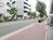 街路樹の点在する玄関前歩道