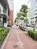 街路樹のある通り